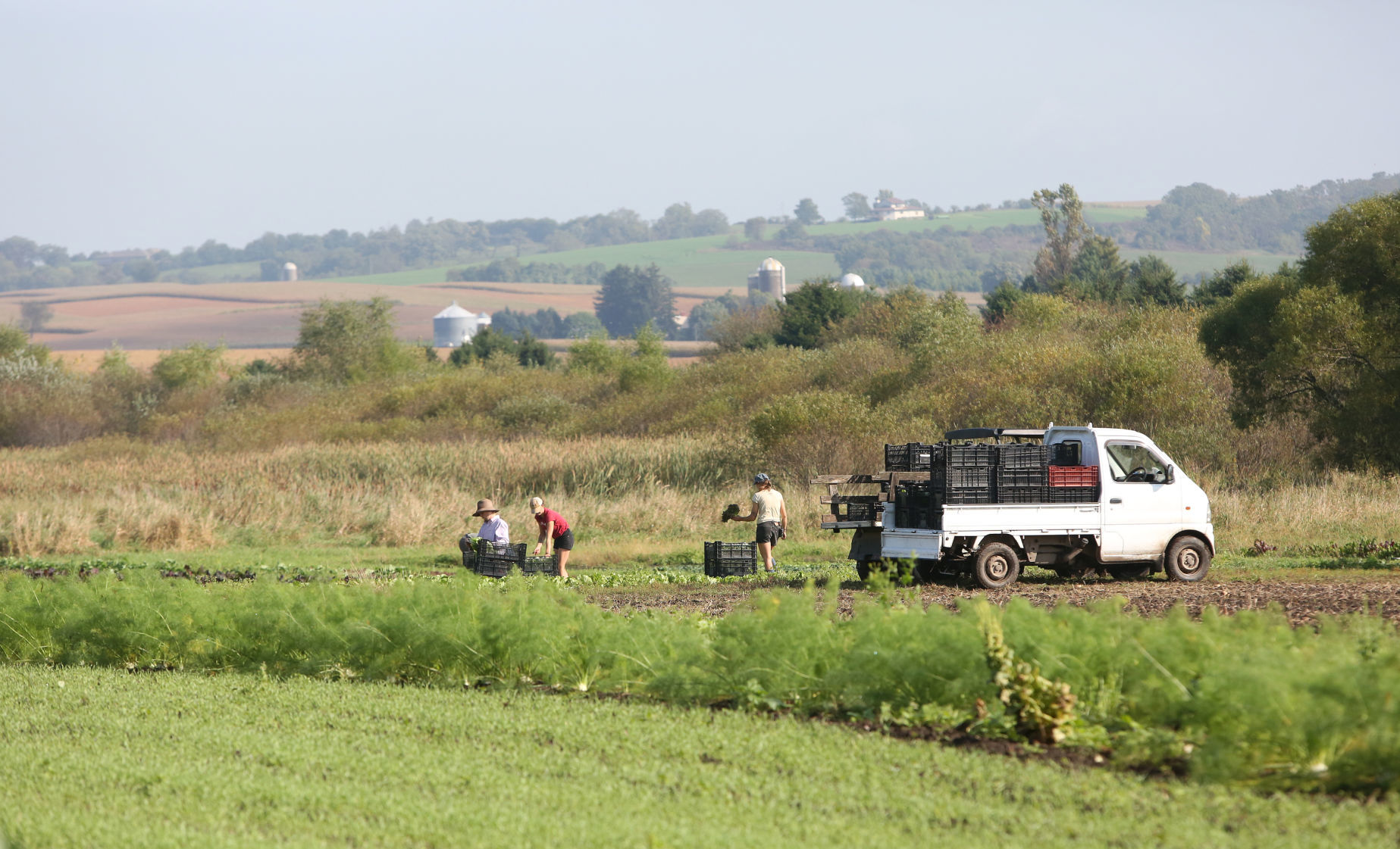 CROSSROADS COMMUNITY FARM